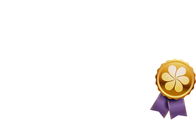 Elearning Platform: Master Balloon Professional